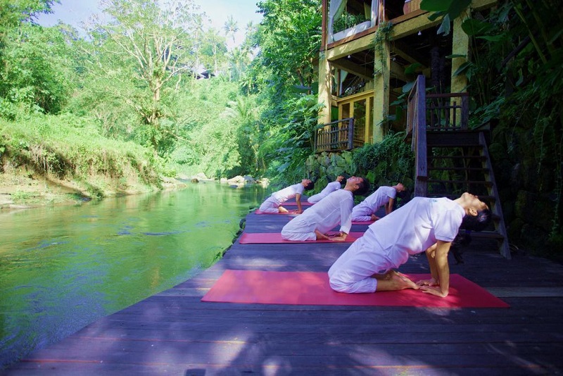 Сварга йога