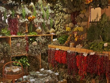 Секреты исцеления травами