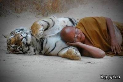 На каком боку надо спать?